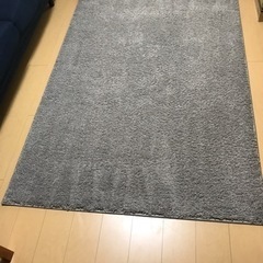 カーペット　ラグ　29日までに受け取れる方限定