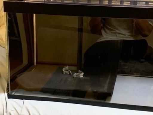 １２０cm水槽　美品