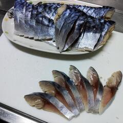釣り友達募集です。