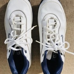 値下げしました！◾️ゴルフクラブセット◾️メンズ　バッグ　シューズ　マグレガー　コブラの画像