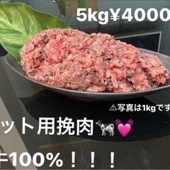 格安！！！5kg犬用肉　挽肉　大型犬　小型犬 生肉