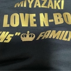 宮崎市に住む方N-BOXに乗ってる方メンバー募集 - その他