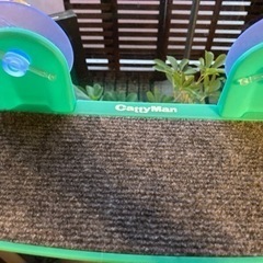  ドギーマンハヤシ キャティーマン ガラス窓にくっつける ねこちゃんの絶景リゾートテラスの画像