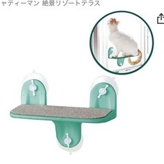  ドギーマンハヤシ キャティーマン ガラス窓にくっつける ねこちゃんの絶景リゾートテラスの画像