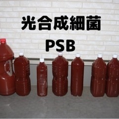 【格安】大特価！　PSB 光合成細菌　2000ml 2L メダカ　針子　稚魚　肥料　の画像