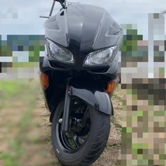 フォルツァ FORZA mf08 250cc