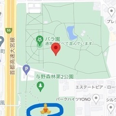 青空ヨガの画像