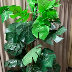 【大きい木】人工観葉植物　お手入れ不要で楽♪　新宿　1,000円！　造木/フェイクグリーンの画像