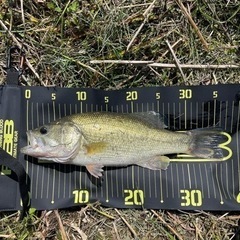 バス釣り勝負しましょう🎣 - メンバー募集