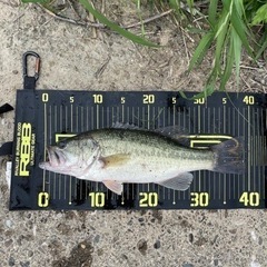 バス釣り勝負しましょう🎣 − 埼玉県