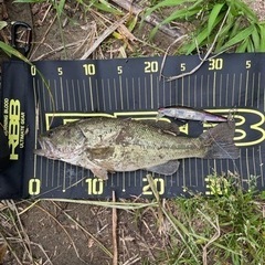 バス釣り勝負しましょう🎣 - その他