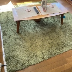 【お話中です】ラグとホットカーペットとアルミシート