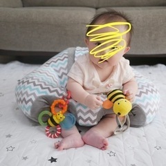 美品☆ハガブー正規品　赤ちゃんイスの画像
