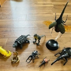 決まりました。昆虫　ガシャポン　ガチャガチャ　カブトムシ　クワガ...