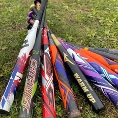 ソフトボール女子メンバー募集中(^-^)/ - スポーツ