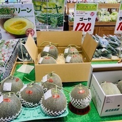 道の駅 はまびら たるたるぱあく