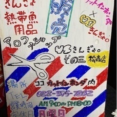 アロワナショップYSきんぎょ。その3（松森店）の新店舗のお知らせ！の画像