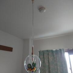 ムーラ LEDペンダントライトの画像