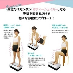 ボディシェイカー　Pico RORES 白　美品の画像