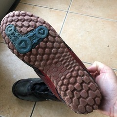 チャンピオンの靴の画像