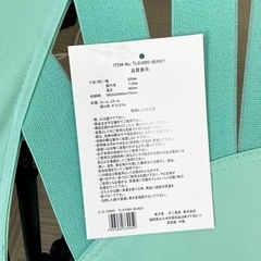②【新品未使用‼️】不二貿易 エアーバンジーフローティングチェア 折りたたみ式 ミントグリーン♪の画像