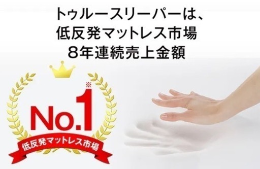 トゥルースリーパー　クイーンサイズ