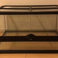 グラステラリウム6030 PT2604 爬虫類・小動物ケージの画像