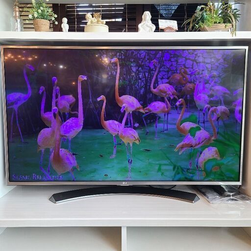 ※ジャンク品※　LG　4K対応 49V型 液晶テレビ　無線LAN内臓　YouTube　2016年製　●店頭で状態ご確認頂ける方限定●