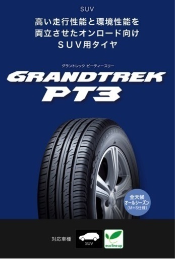 ダンロップ　GRANDTREK PT3 225/55/R19