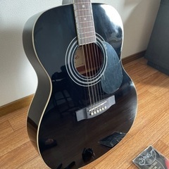 HONEY BEE アコースティックギターの画像