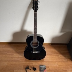 HONEY BEE アコースティックギターの画像