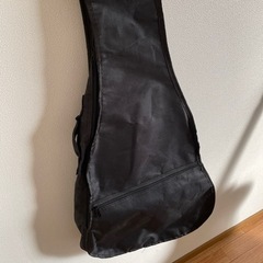 HONEY BEE アコースティックギターの画像