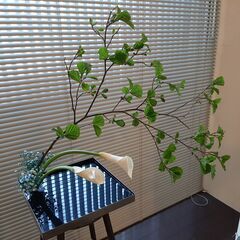 草月流師範・いけばな教室・無料体験ありの画像