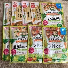 離乳食9点セット