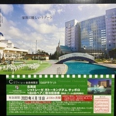 ガトーキングダム　サッポロ　ペアチケット