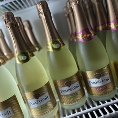 シャンパン　ポンパドール　各種10本セット