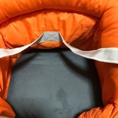 イングリッシーナ　ファスト　オレンジの画像
