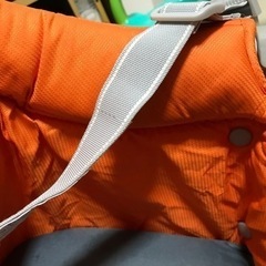 イングリッシーナ　ファスト　オレンジの画像