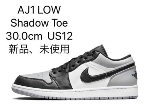 その他 Nike Air Jordan 1 Low \