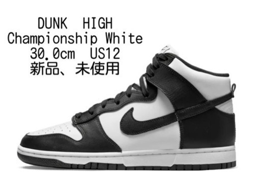 その他 Nike Dunk High \