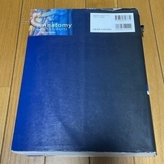 グレイ解剖学の画像