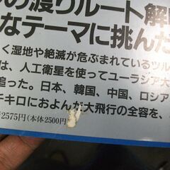 翔(かけ)る―ツルの渡り追跡調査写真集 [jp_oversized_book]の画像