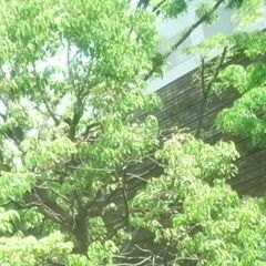 40代・50代の方  友だちを探しています