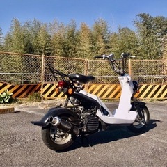 ホンダバイトの画像