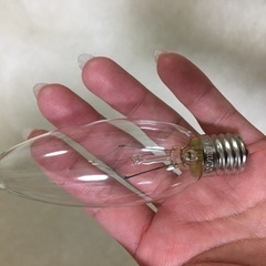 【新品】電球の画像