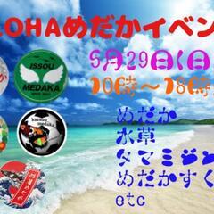 ALOHAめだかイベント♪メダカ販売めだかすくいetc 