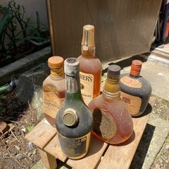 発掘　古いウィスキー