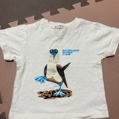 サイズ80 男の子　Tシャツ、短パン、水着の画像