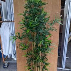 植木 フェイク