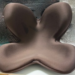 スタイルスタンダード　骨盤矯正　姿勢ケアシート　